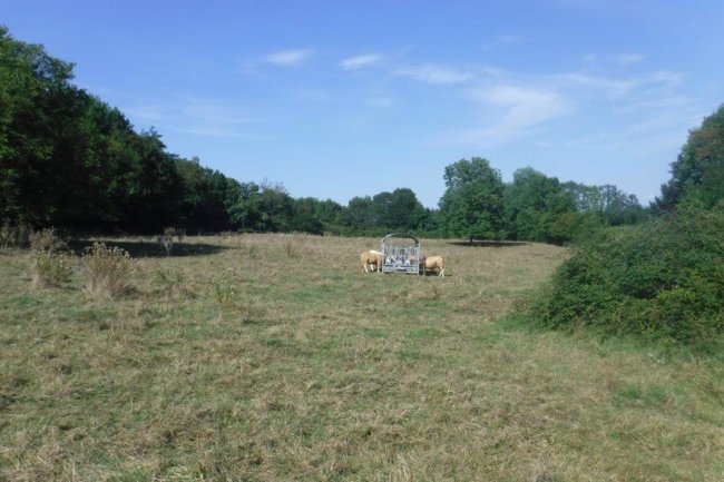 construction d’une voirie pour un lotissement