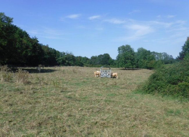 construction d’une voirie pour un lotissement