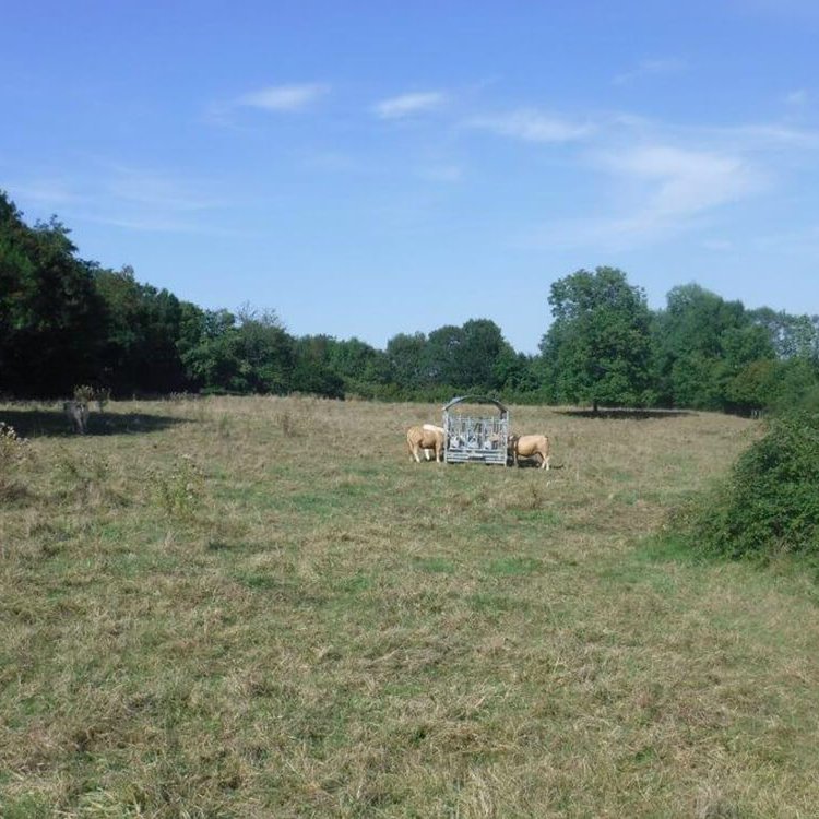 construction d’une voirie pour un lotissement