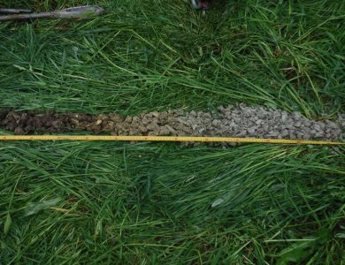 Caractérisation de zone humide à Divonne-les-Bains