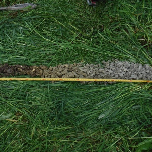 Caractérisation de zone humide à Divonne-les-Bains