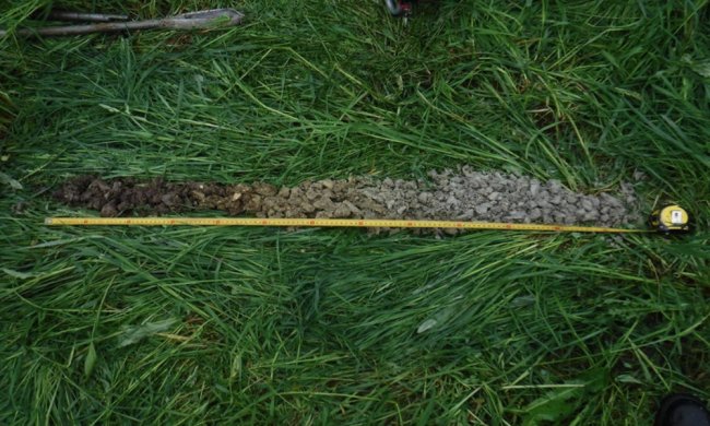 Caractérisation de zone humide à Divonne-les-Bains