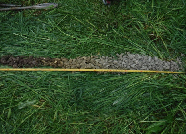 Caractérisation de zone humide à Divonne-les-Bains