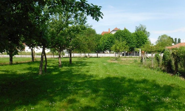 Délimitation des zones humides de La Robinière et des Vague