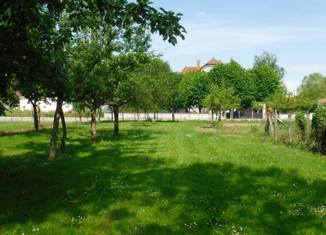 Délimitation des zones humides de La Robinière et des Vague